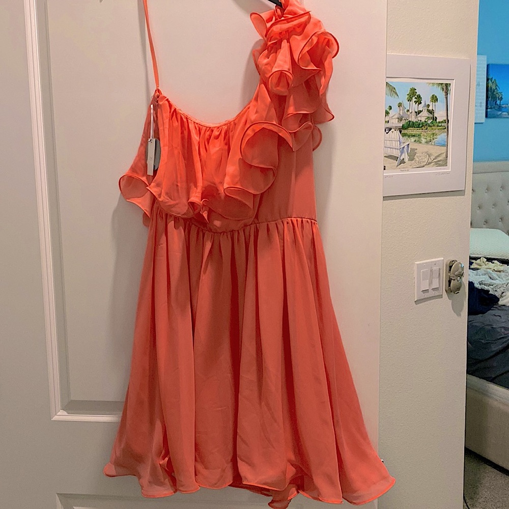 Coral Ruffle One Shoulder Dress BNWT